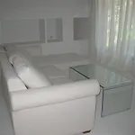 Family The Body