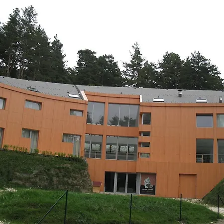 Family The Body バタク