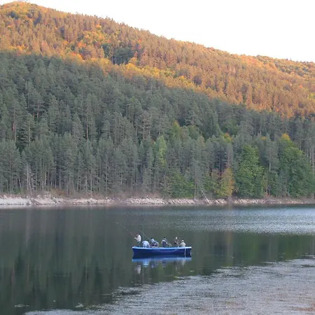 ホテル Family The Body